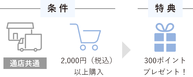 条件：2,000円（税込）以上購入 / 特典：300ポイントプレゼント！