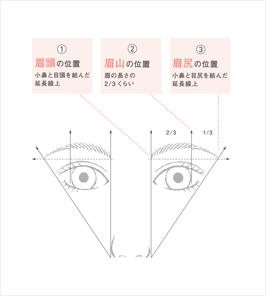 眉頭の位置 小鼻と目頭を結んだ延長線上 眉山の位置 眉の長さの2/3くらい 眉尻の位置 小鼻の目尻を結んだ延長線上