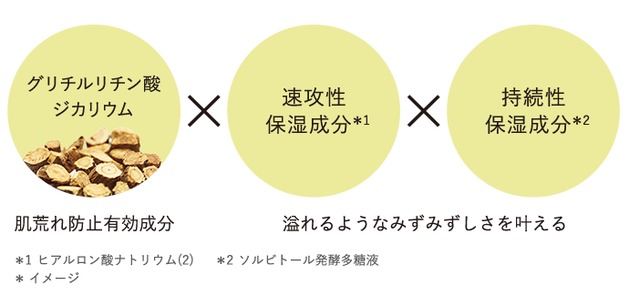 グリチルリチン酸ジカリウム×速攻性保湿成分×持続性保湿成分 肌荒れ防止有効成分 溢れるようなみずみずしさを与える