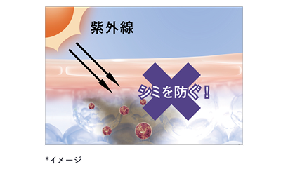 メラノサイトからケラチノサイトへのメラニンの受け渡しを抑制することで、肌表面へメラニンが届きにくくなります。