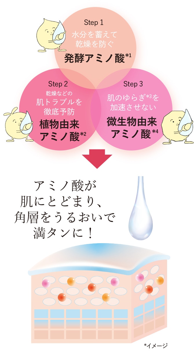 Step1 水分を蓄えて乾燥を防ぐ：発酵アミノ酸*1 Step2 乾燥などの肌トラブルを徹底予防：植物由来アミノ酸*2 Step3 肌のゆらぎ*3を加速させない：微生物由来アミノ酸*4→アミノ酸が肌にとどまり、角層をうるおいで満タンに！　*1 ポリグルタミン酸配合＝乾燥を防ぎ、うるおいに満ちた肌へ導く保湿成分 *2 エルゴチオネイン配合＝肌を整え、すこやかに保つ保湿成分 *3 肌が乾燥して肌荒れがおこりやすくなること *4 エクトイン配合＝乱れた角層にうるおいを与え、肌荒れを防ぐ保湿成分 *イメージ