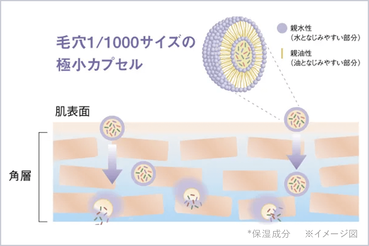 ナノセラミドバイオLPカプセルの浸透イメージ図