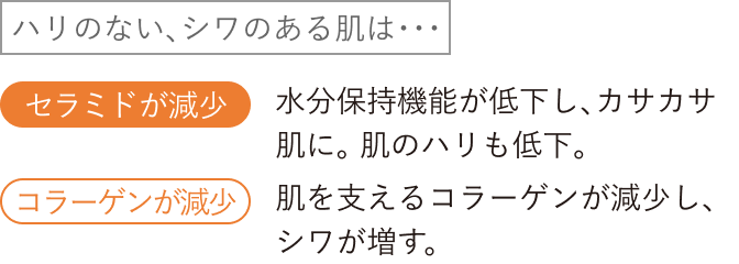 ハリのない、シワのある肌は・・・／セラミドが減少：水分保持機能が低下し、カサカサ肌に。肌のハリも低下。／コラーゲンが減少：肌を支えるコラーゲンが減少し、シワが増す。