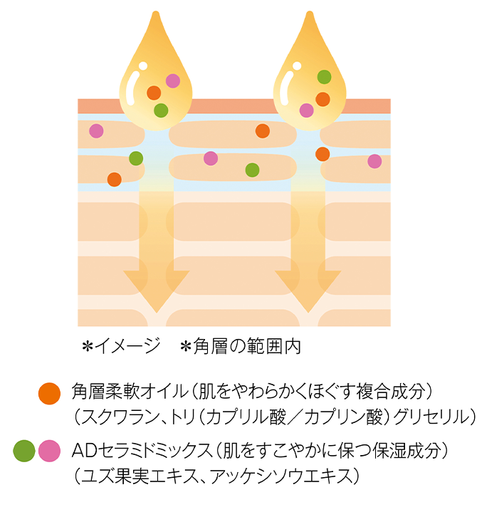 *イメージ