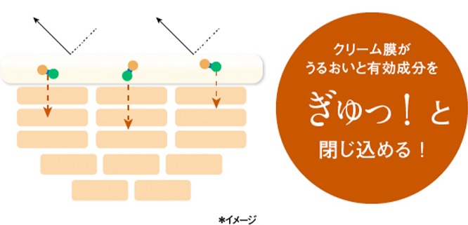 クリーム膜がうるおいと有効成分をぎゅっと閉じ込める！