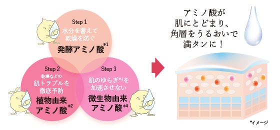 Step1 水分を蓄えて乾燥を防ぐ：発酵アミノ酸*1 Step2 乾燥などの肌トラブルを徹底予防：植物由来アミノ酸*2 Step3 肌のゆらぎ*3を加速させない：微生物由来アミノ酸*4→アミノ酸が肌にとどまり、角層をうるおいで満タンに！　*1 ポリグルタミン酸配合＝乾燥を防ぎ、うるおいに満ちた肌へ導く保湿成分 *2 エルゴチオネイン配合＝肌を整え、すこやかに保つ保湿成分 *3 肌が乾燥して肌荒れがおこりやすくなること *4 エクトイン配合＝乱れた角層にうるおいを与え、肌荒れを防ぐ保湿成分 *イメージ