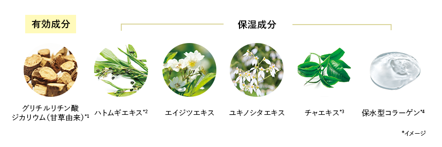 有効成分:グリチルリチン酸ジカリウム（甘草由来）*1 保湿成分：ハトムギエキス*2,エイジツエキス,ユキノシタエキス,チャエキス*3,保水型コラーゲン*4 *イメージ