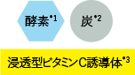 酵素*1＋炭*2＋浸透型ビタミンC誘導体*3