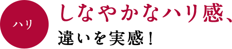 ハリ しなやかなハリ感、違いを実感！
