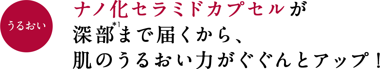 うるおい ナノ化セラミドカプセルが 深部まで届くから、 肌のうるおい力がぐぐんとアップ！