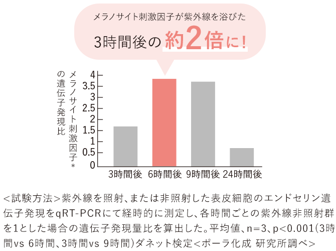 メラノサイト刺激因子の遺伝子発現比グラフ／メラノサイト刺激因子が紫外線を浴びた3時間後の約2倍に！＜試験方法＞紫外線を照射、または非照射した表皮細胞のエンドセリン遺伝子発現をqRT-PCRにて経時的に測定し、各時間ごとの紫外線非照射群を1とした場合の遺伝子発現量比を算出した。平均値、n=3、p＜0.001(3時間vs6時間、3時間vs9時間)ダネット検定＜ポーラ化成 研究所調ベ＞