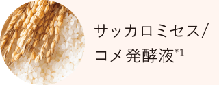 サッカロミセス／コメ発酵液*1