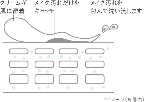 クリームが肌に密着  メイク汚れだけをキャッチ  メイク汚れを包んで洗い流します  *イメージ（角層内）