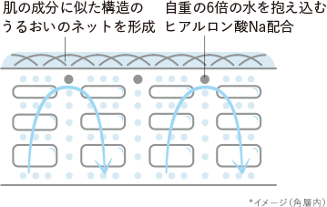 肌の成分に似た構造のうるおいのネットを形成  自重の6倍の水を抱え込むヒアルロン酸Na配合  *イメージ（角層内）