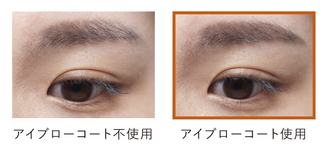 アイブローコート不使用 アイブローコート使用