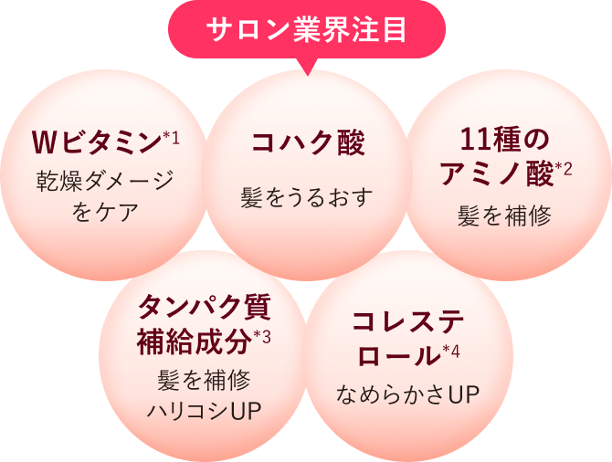 サロン業界注目 Wビタミン*1 乾燥ダメージをケア コハク酸 髪をうるおす 11種のアミノ酸*2 髪を補修 タンパク質補給成分*3 髪を補修ハリコシUP コレステロール*4 なめらかさUP