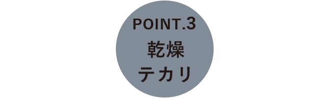 POINT.3 乾燥テカリ