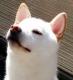 ほわほわsunさん